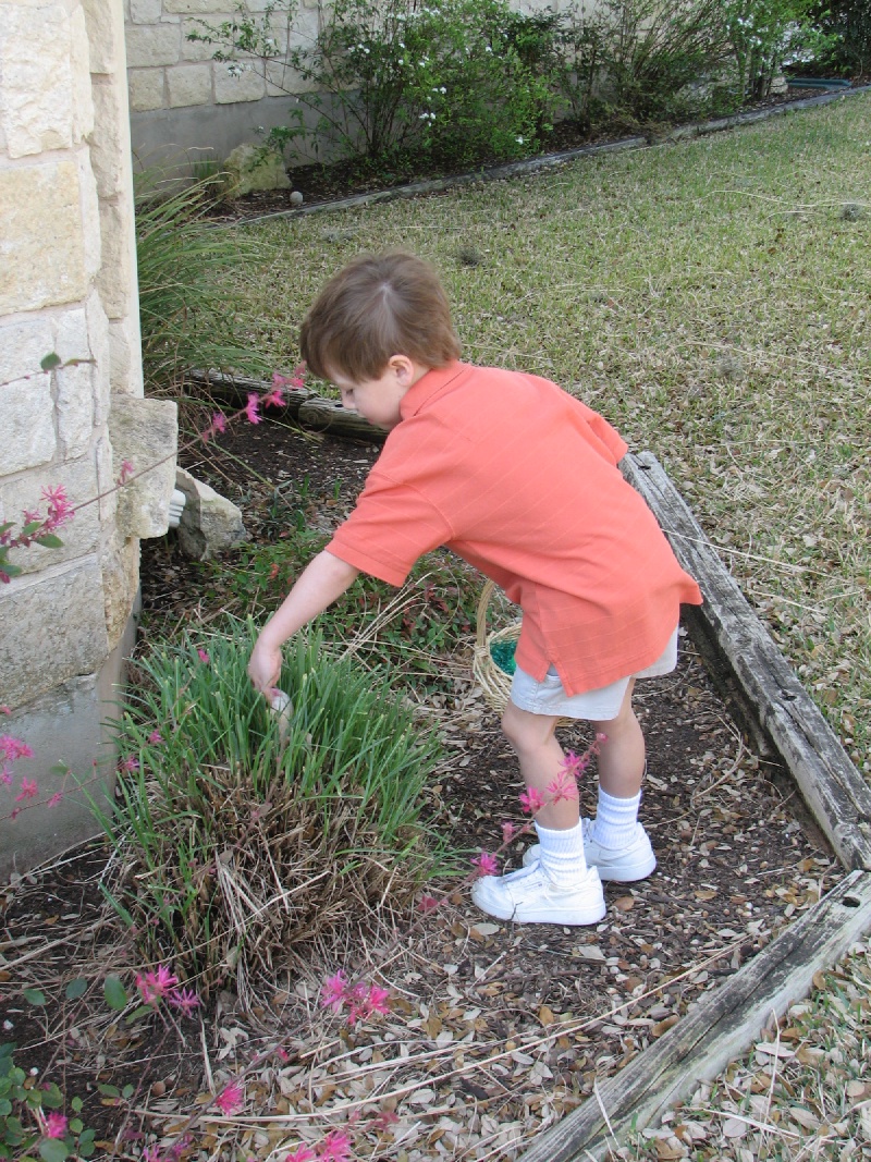 2008/03(March)/Easter/800x600_IMG_1537.JPG