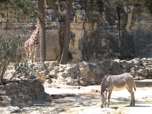 IMG_1510.JPG
