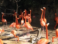 IMG_1501.JPG