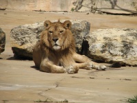 IMG_1515.JPG