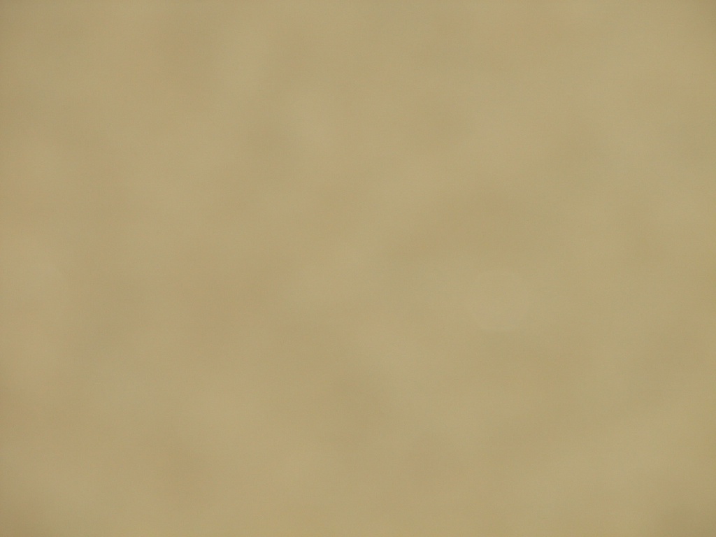 231.JPG