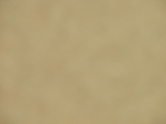 231.JPG
