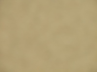 231.JPG