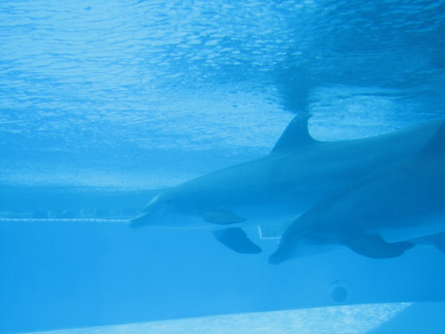 2008/06(June)/Corpus_Trip/640x480_319.JPG