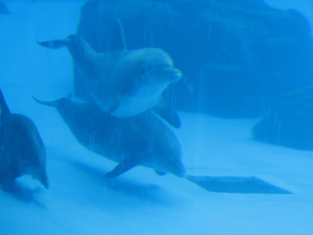 2008/06(June)/Corpus_Trip/640x480_320.JPG