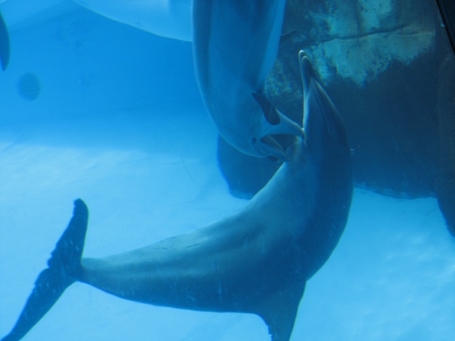 2008/06(June)/Corpus_Trip/640x480_321.JPG