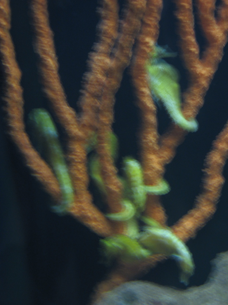 2008/06(June)/Corpus_Trip/800x600_314.JPG