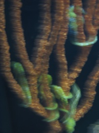315.JPG