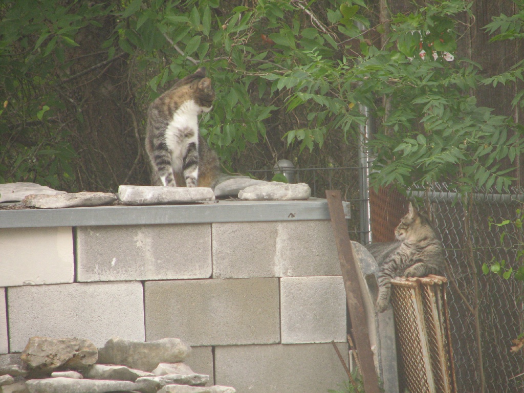2008/07(July)/Misc/1024x768_461.JPG