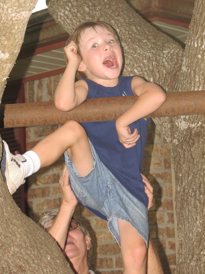482.JPG