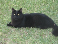 564.JPG
