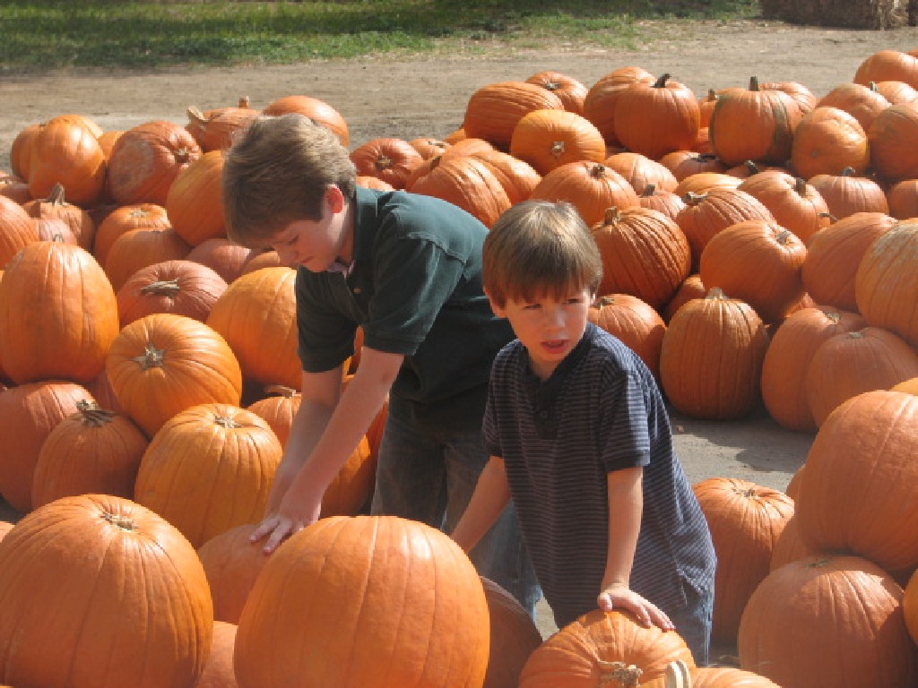 2008/10(October)/Halloween/1024x768_598.JPG
