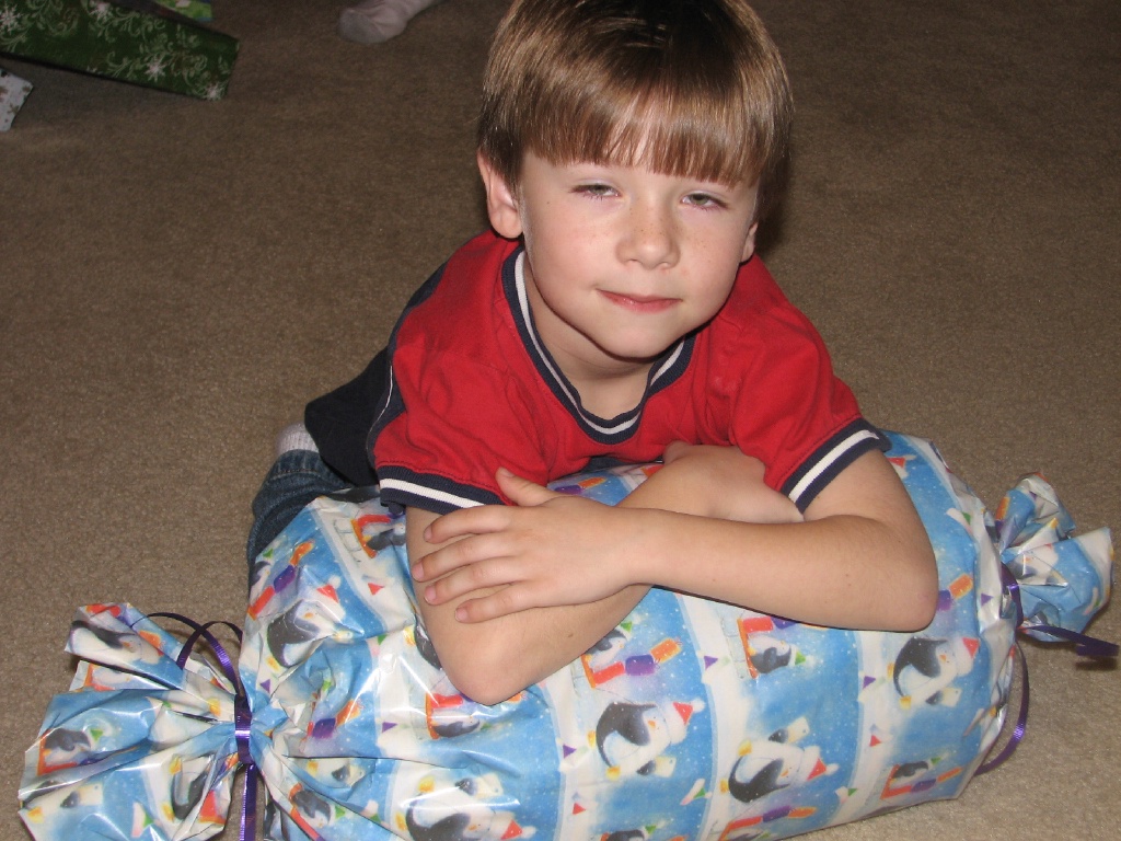 2008/12(December)/Christmas/1024x768_776.JPG