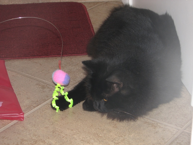 759.JPG