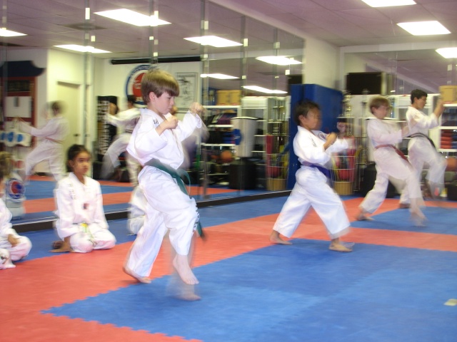2009/03(March)/Tae-Kwon-Do/846.JPG