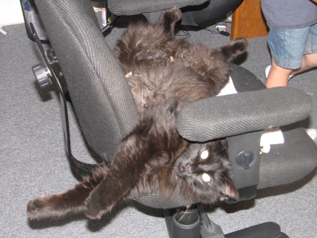 2009/05(May)/Misc/047.JPG