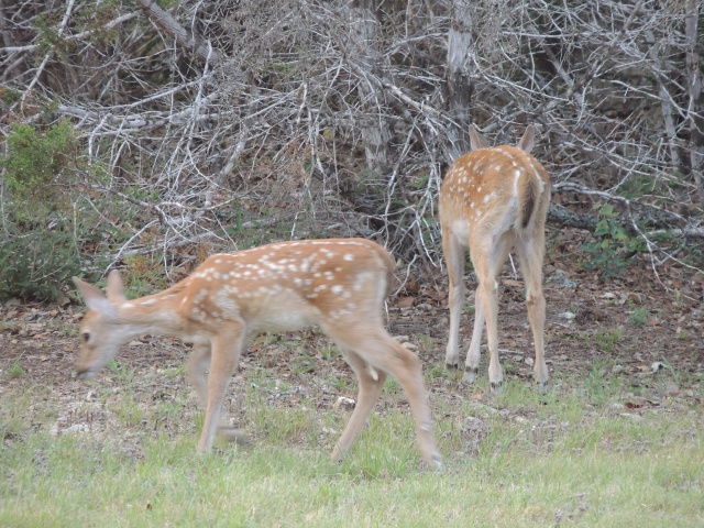 DSCN0444.JPG