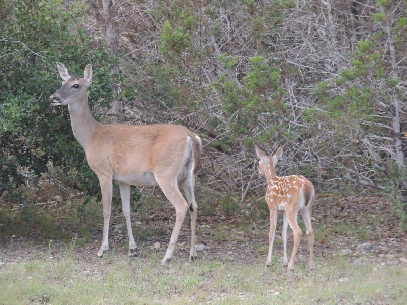 DSCN0442.JPG