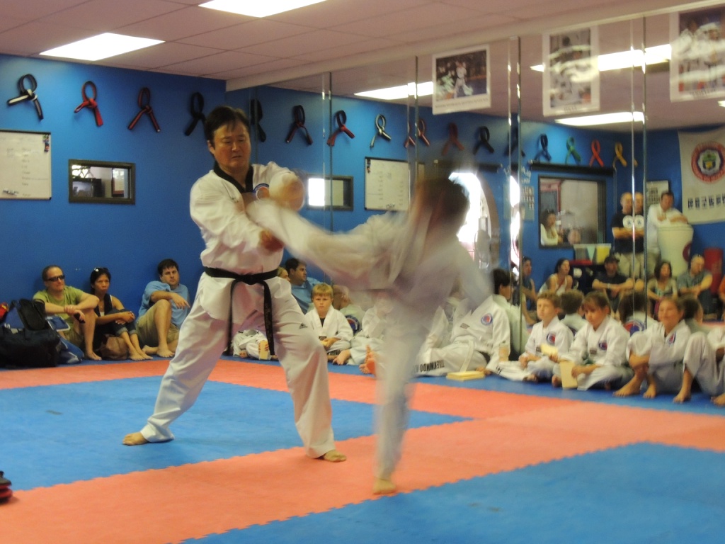 2013/06(June)/Tae_Kwon_Do_Test/1024x768_DSCN0429.JPG