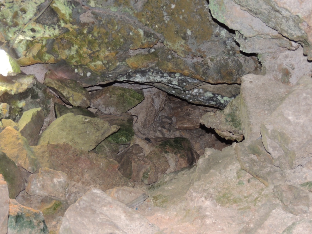 DSCN0507.JPG