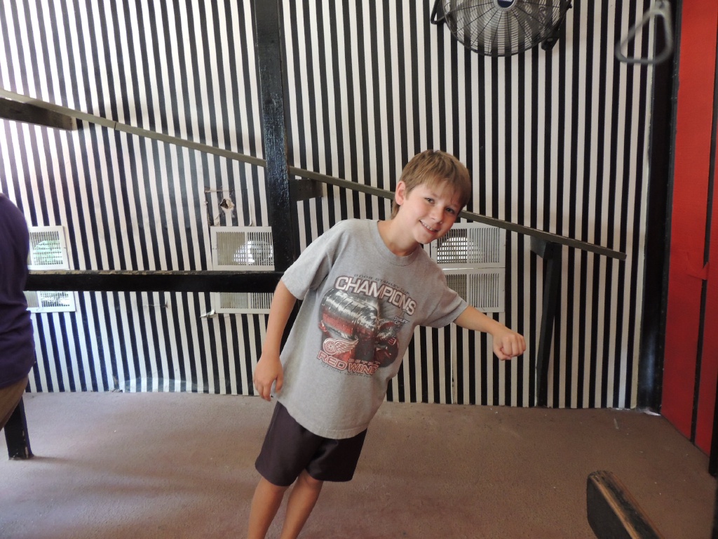 DSCN0546.JPG