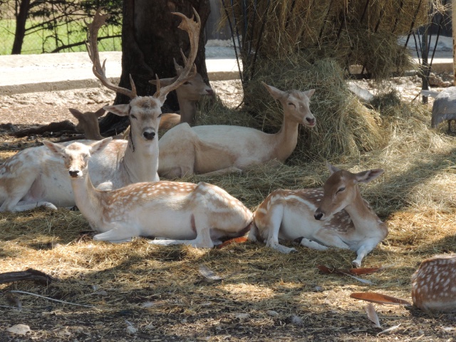 DSCN0496.JPG