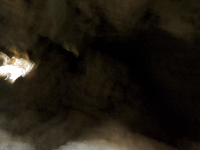 2013/06(June)/Wonder_World/640x480_DSCN0499.JPG