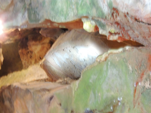 2013/06(June)/Wonder_World/640x480_DSCN0517.JPG