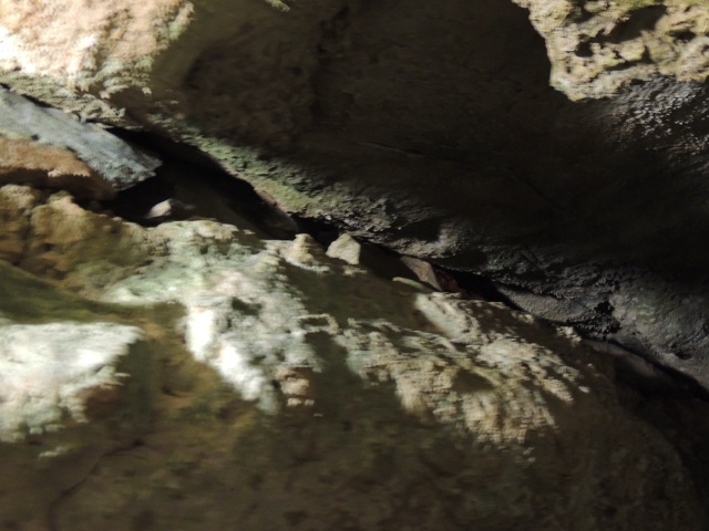 2013/06(June)/Wonder_World/640x480_DSCN0523.JPG