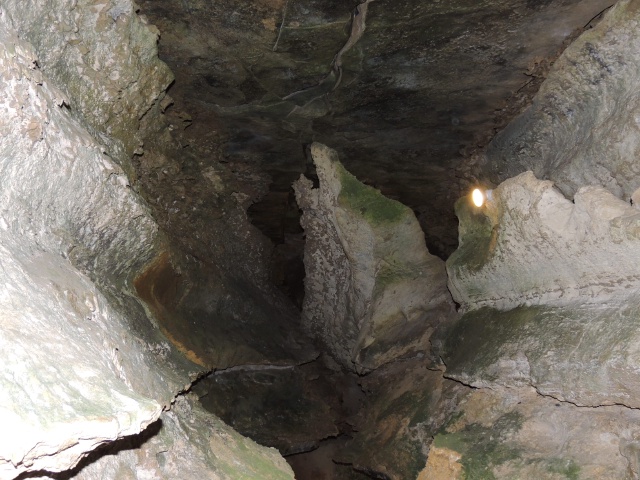 2013/06(June)/Wonder_World/640x480_DSCN0527.JPG