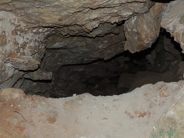 DSCN0529.JPG