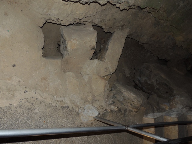 2013/06(June)/Wonder_World/640x480_DSCN0534.JPG