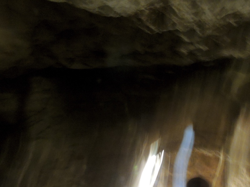 DSCN0498.JPG