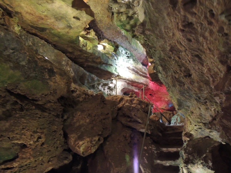 2013/06(June)/Wonder_World/800x600_DSCN0520.JPG