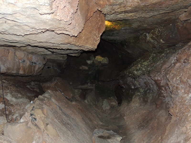 DSCN0522.JPG