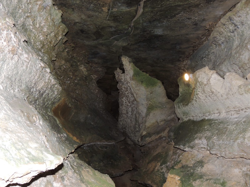 DSCN0527.JPG
