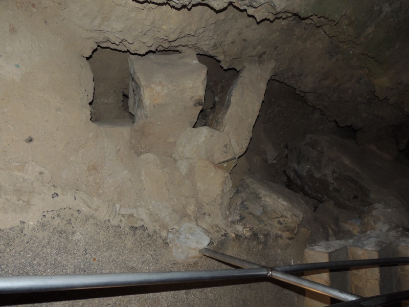 2013/06(June)/Wonder_World/800x600_DSCN0534.JPG