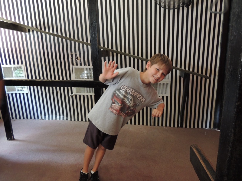 2013/06(June)/Wonder_World/800x600_DSCN0545.JPG