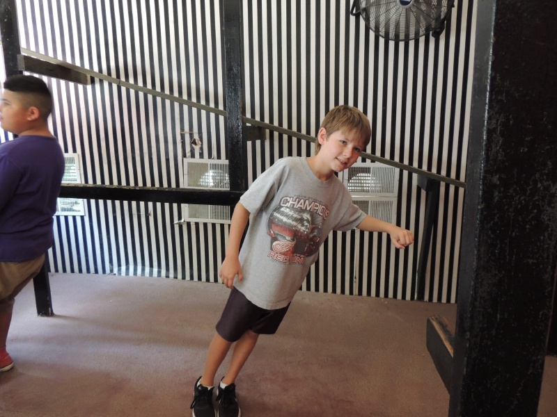 2013/06(June)/Wonder_World/800x600_DSCN0547.JPG