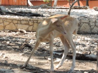 DSCN0486.JPG