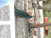 DSCN0493.JPG