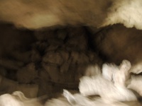 DSCN0500.JPG