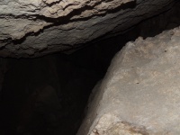 DSCN0503.JPG