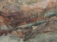 DSCN0506.JPG
