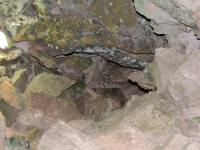 DSCN0507.JPG