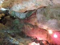 DSCN0514.JPG