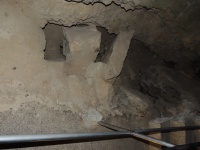 DSCN0534.JPG