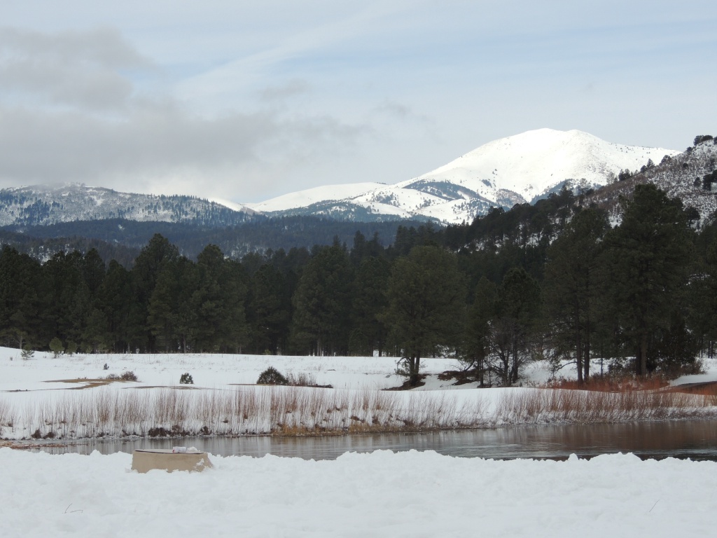 2015/12(December)/Ruidoso/1024x768_DSCN3112.JPG