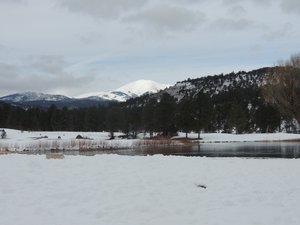 DSCN3114.JPG