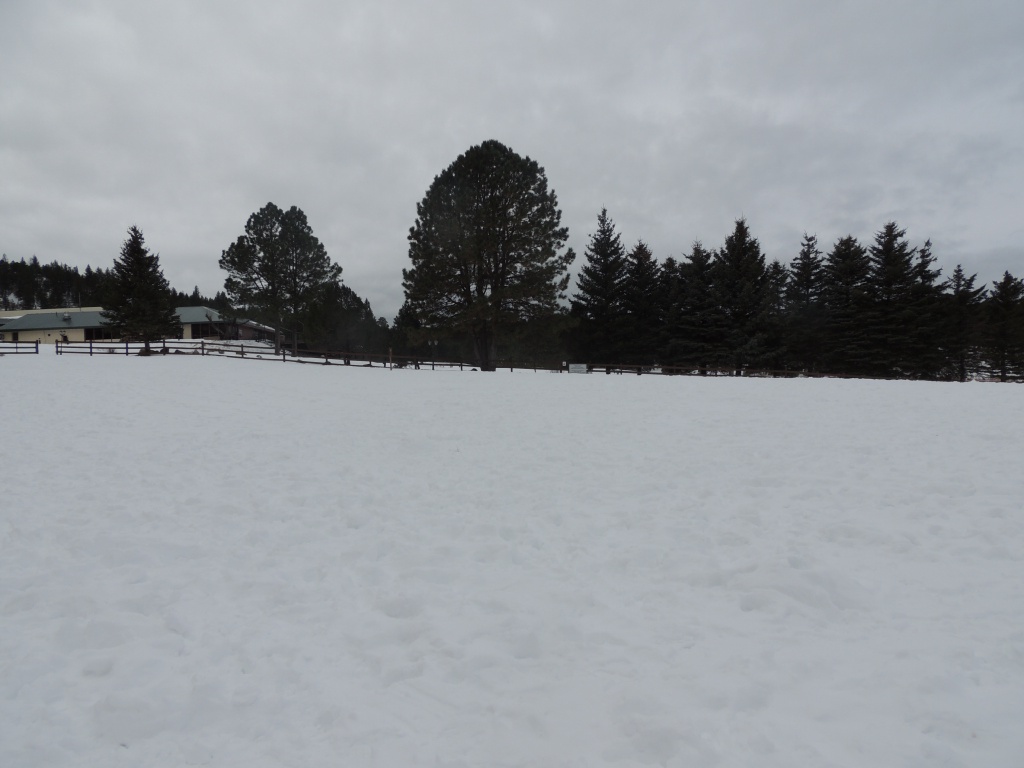 2015/12(December)/Ruidoso/1024x768_DSCN3115.JPG